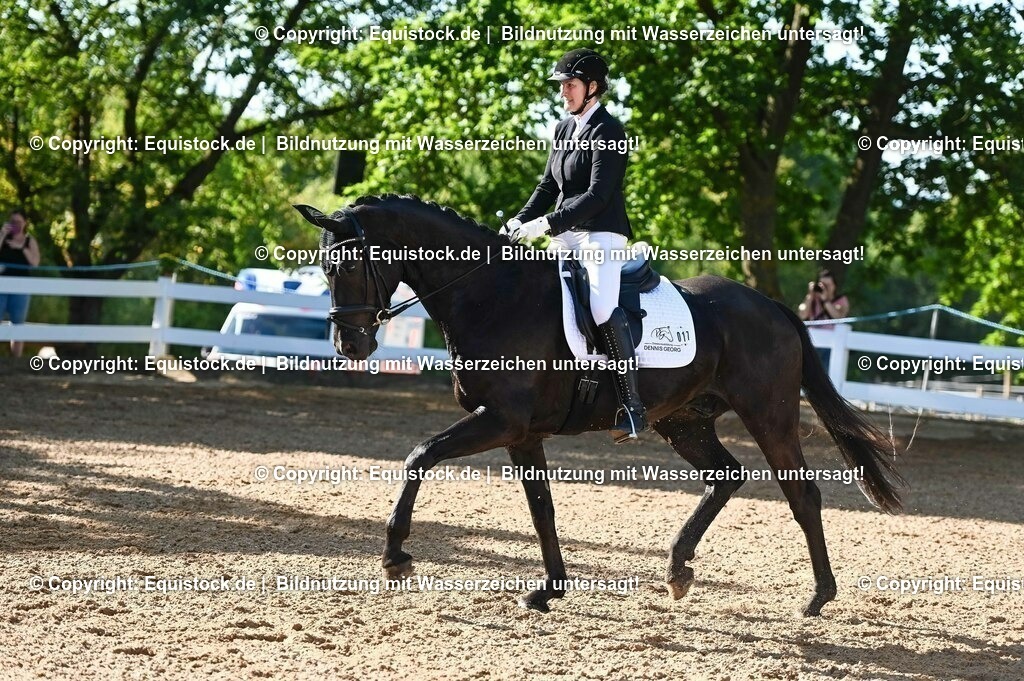 20230715_06_Dressurpferdeprfg. Kl.A_0006 | equistock
