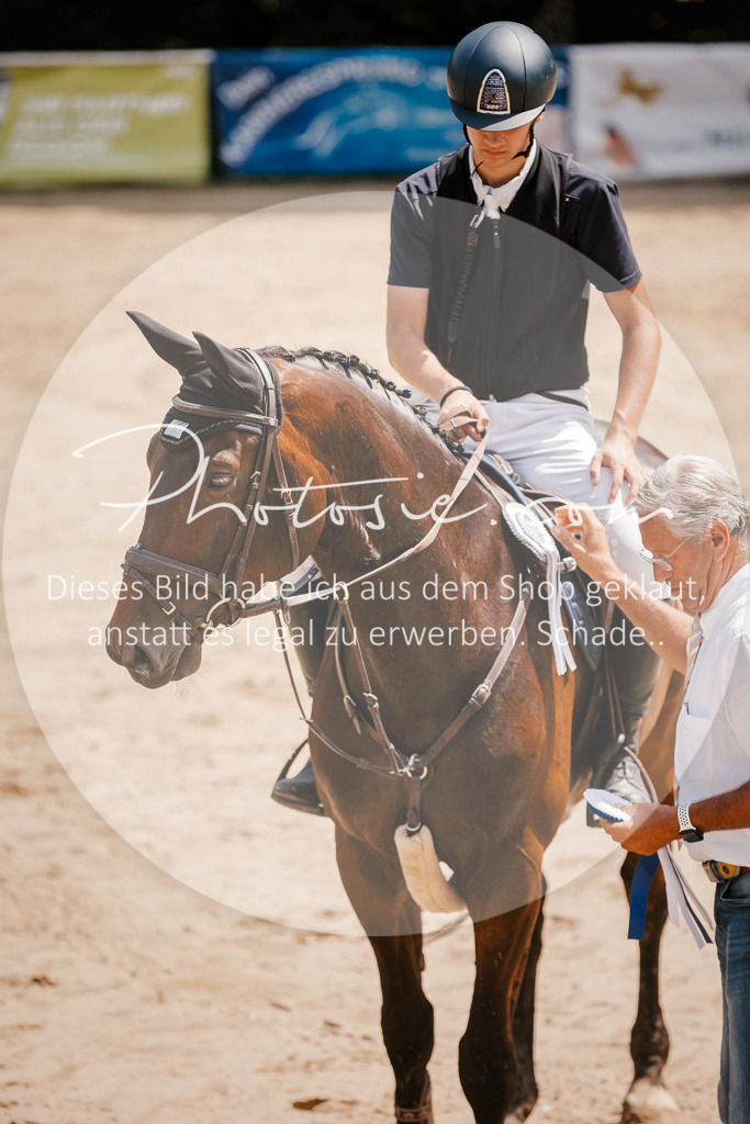 3I6A8131 | Stimmungsvolle Portraits und Reitsportfotografie im Ruhrgebiet und im Münsterland.

Pferdefotografie, Hundefotografie, Tierfotografie, Reportagen, Portraits von Tier und Mensch, Turnierfotografie in Bochum, Recklinghausen, Marl, Haltern am See, Dülmen.. - Realisiert mit Pictrs.com