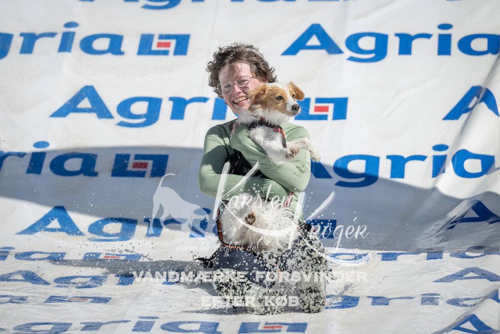 1208_ZZ94997 | kk-dogfotos