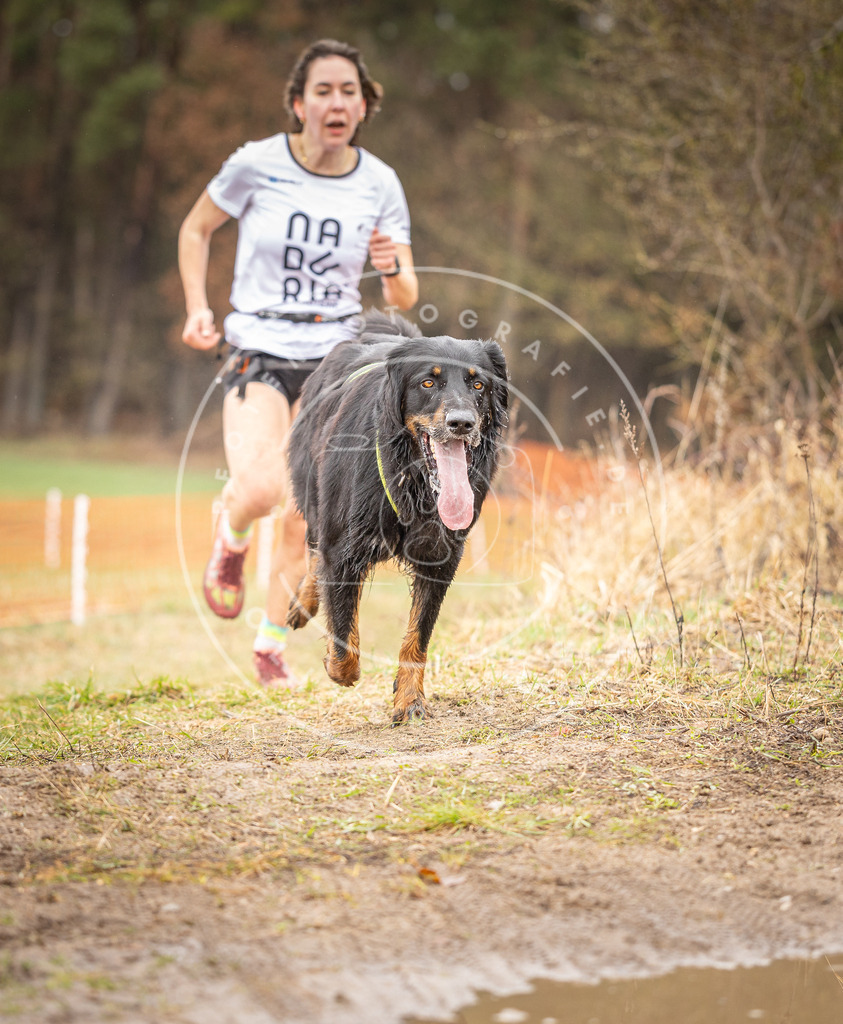 DV3A0159 | Hundefotografie, Tierfotograf, Pfotenfotografie, Fotoshooting Hund, Hunde Portrait, Hundesport, Hundeportraits, Heideshooting, Hunde, Sportfotograf, Hundefotograf, Turnierhundsport, THS,  - Realisiert mit Pictrs.com