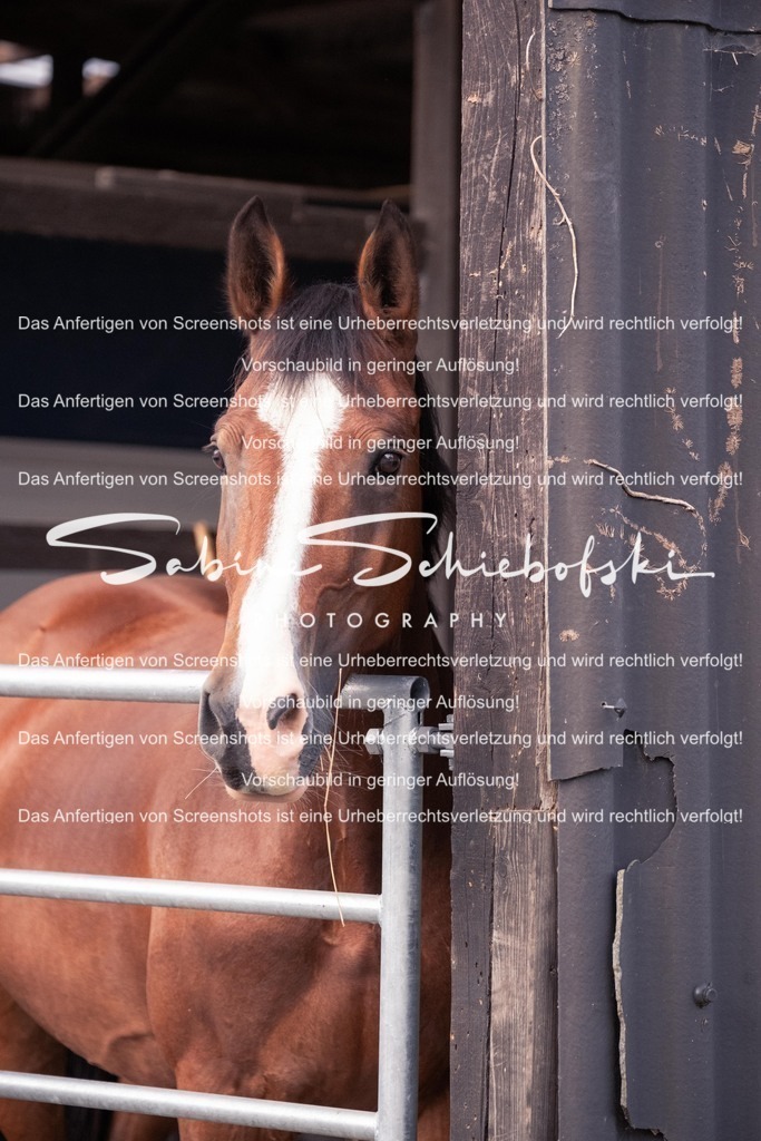 2025_05_31_DSCF2310 | People- und Tierfotografie, Imageaufnahmen, Veranstaltungsfotografie und Wandbilder aus der Natur ★ Made in Germany ✔️ Druck + Downloads ✔️ Naturfotografie in Top Qualität ★ schneller Versand, weltweite Lieferung! - Realisiert mit Pictrs.com