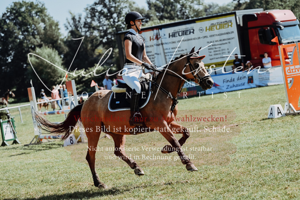 DSC_6025 | Pferde- und Turnierfotografie in Westsachsen. Pferdeportraits, Auftragszeichnungen und intuitive Kunst.