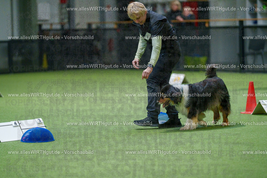 7R504242 | Professionelle Tierfotografie in Mönchengladbach von Daniel Wirth (allesWIRTHgut). Liebevolle & natürliche Bilder von Hunden & Katzen für unvergessliche Erinnerungen.