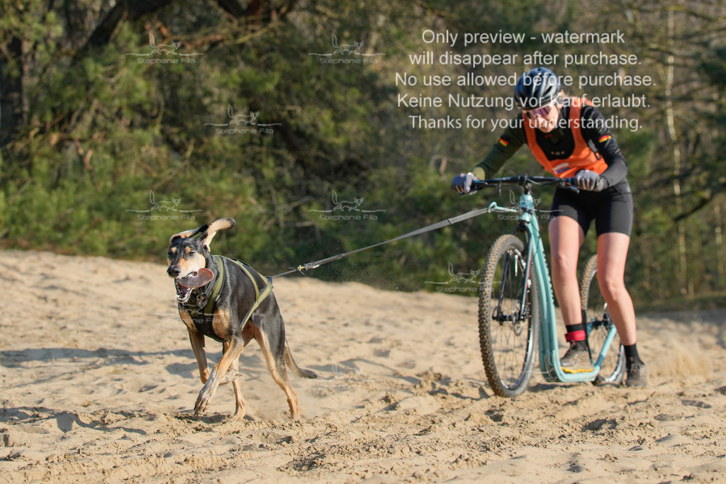 So_Scooter-241 | stephaniefillaphotographie - Realisiert mit Pictrs.com