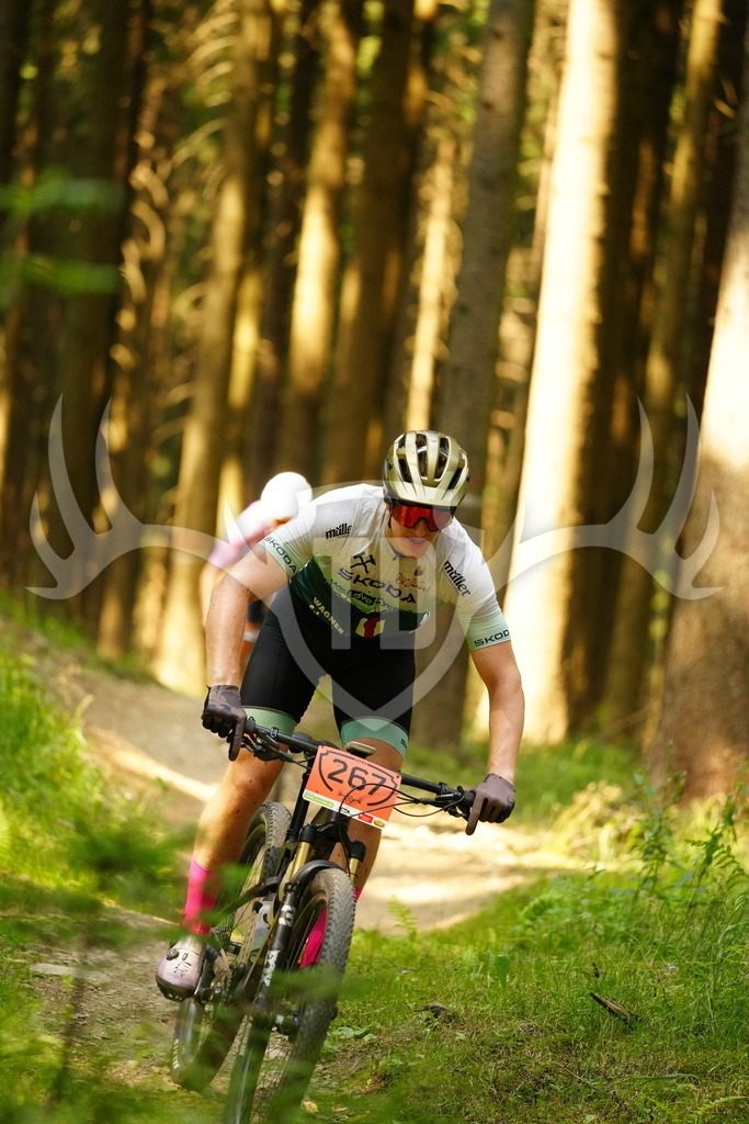 FC102737 | Fotogalerie der Treibjagd im Dunkelwald - Dein MTB Etappenrennen im Erzgebirge - Realisiert mit Pictrs.com