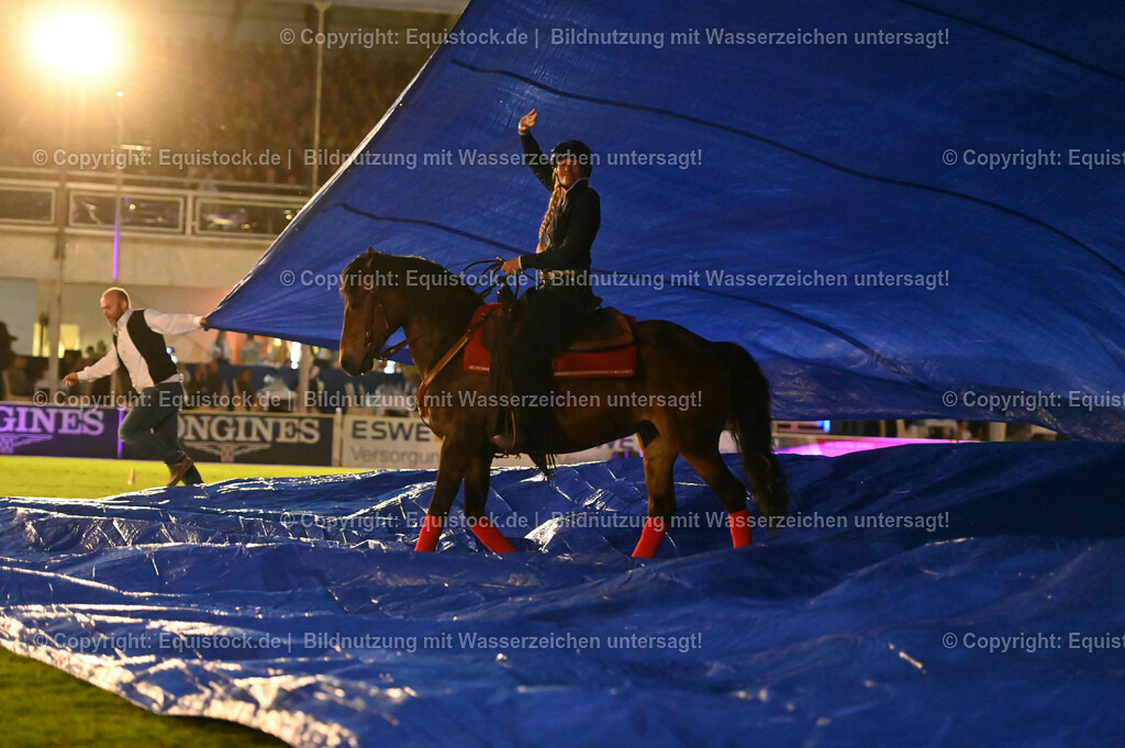 20230526_Pferdenacht_1061 | equistock