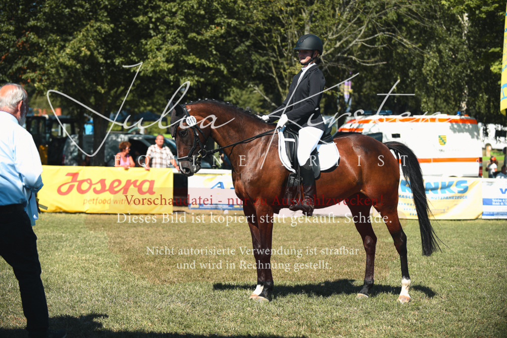 DSC_7303 | Pferde- und Turnierfotografie in Westsachsen. Pferdeportraits, Auftragszeichnungen und intuitive Kunst.
