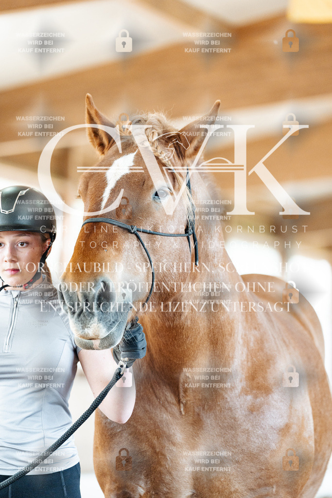 CK905421 | Turnierfotografie Pferdefotografie Trier Rheinland-Pfalz Pferdesport Reitsport Tierfotografie Sportfotografie Pferdevideo Pferdevideografie Equestrianvideography equestrianphotography  - Realisiert mit Pictrs.com