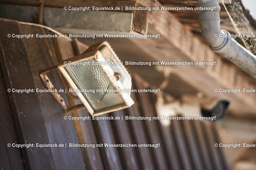 20210531_Sicherheit-im-Stall_0015 | Foto: Thomas Hartig