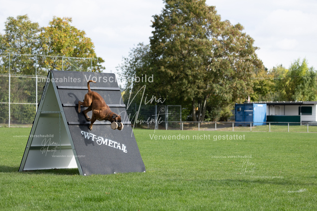 _16A6626 | Einzigartige Fotos von Hunden & Menschen –Actionfotos, Portraits, Vereinsaufnahmen & Paarshootings – authentisch, lebendig & mit Herz.