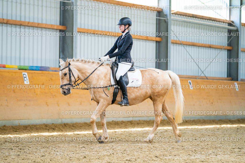 DSC09352 | Pferdegrafie