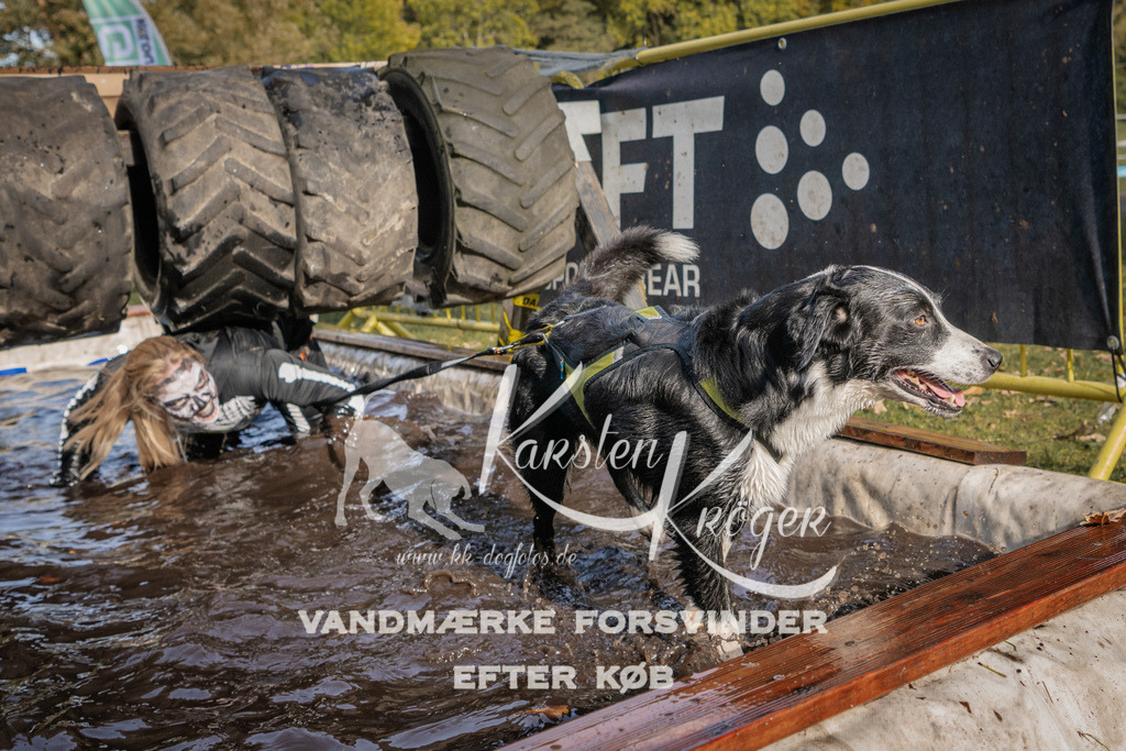 1404_ZZ93978 | kk-dogfotos