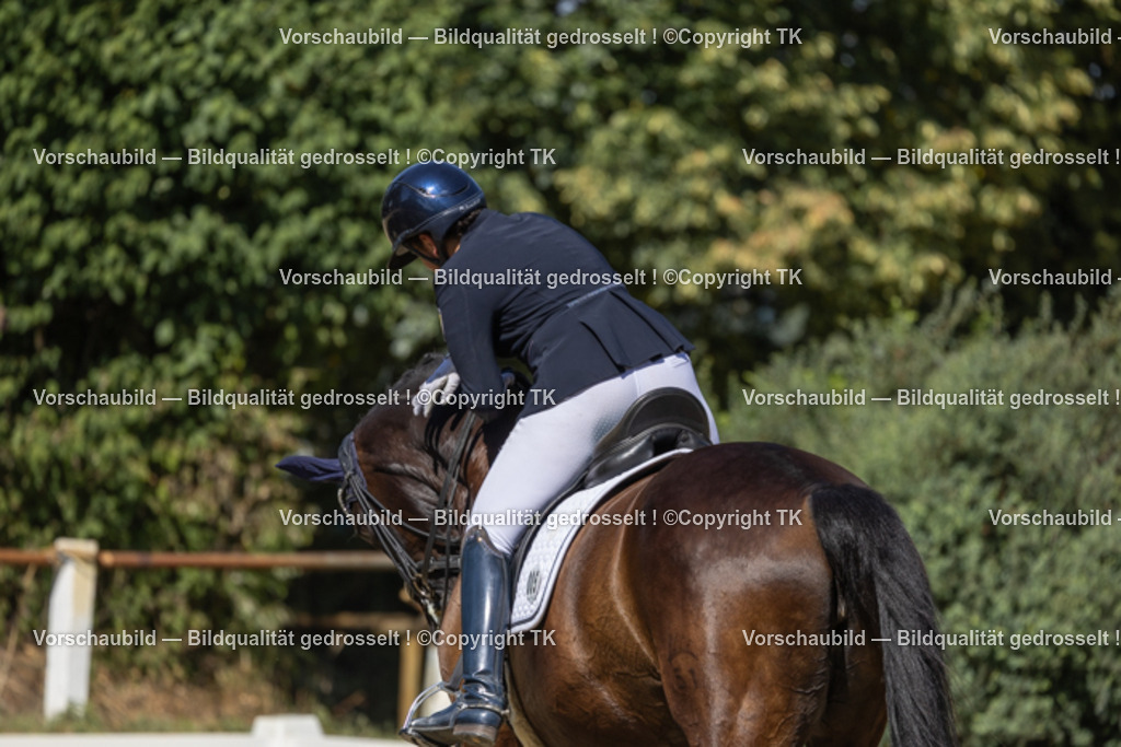 _D5A0108 | Emotionale Pferde- & People-Fotografie rund um Heidelberg, Leimen & Umgebung. Natürliche Fotos von Pferd, Mensch & Familie. Jetzt Termin sichern!