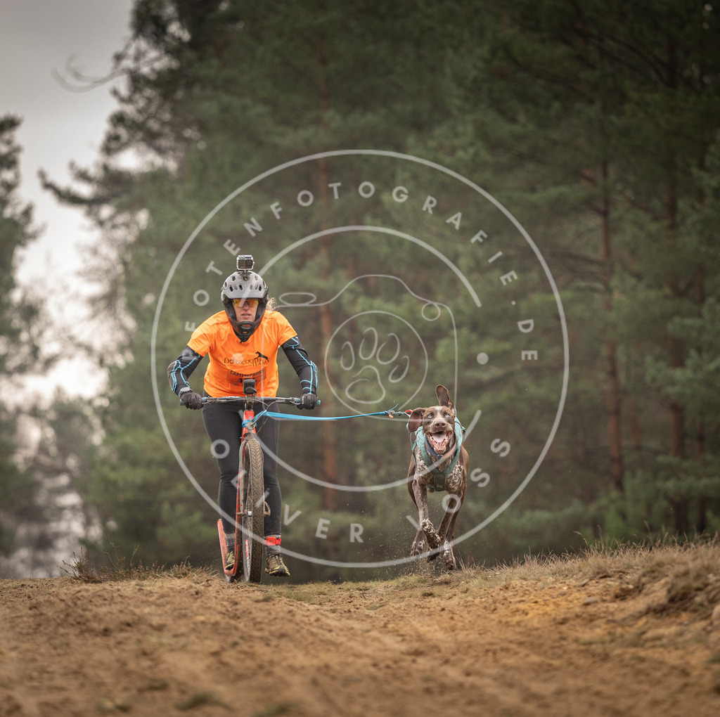 Pfotenfotografie_DV3A4566 | Hundefotografie, Tierfotograf, Pfotenfotografie, Fotoshooting Hund, Hunde Portrait, Hundesport, Hundeportraits, Heideshooting, Hunde, Sportfotograf, Hundefotograf, Turnierhundsport, THS,  - Realisiert mit Pictrs.com