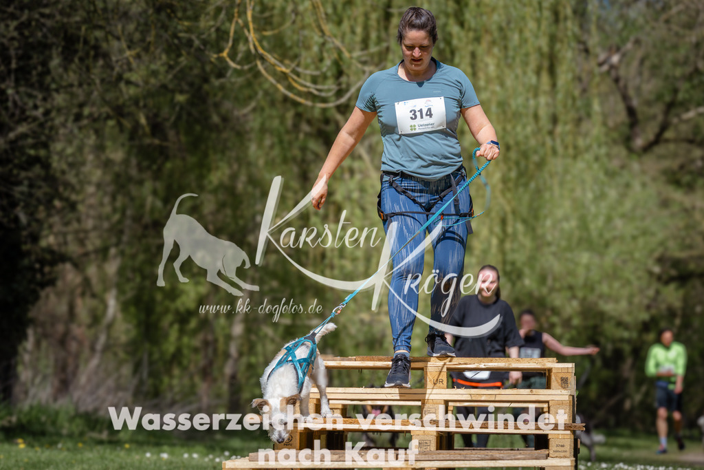 1245_ZZ94178 | kk-dogfotos