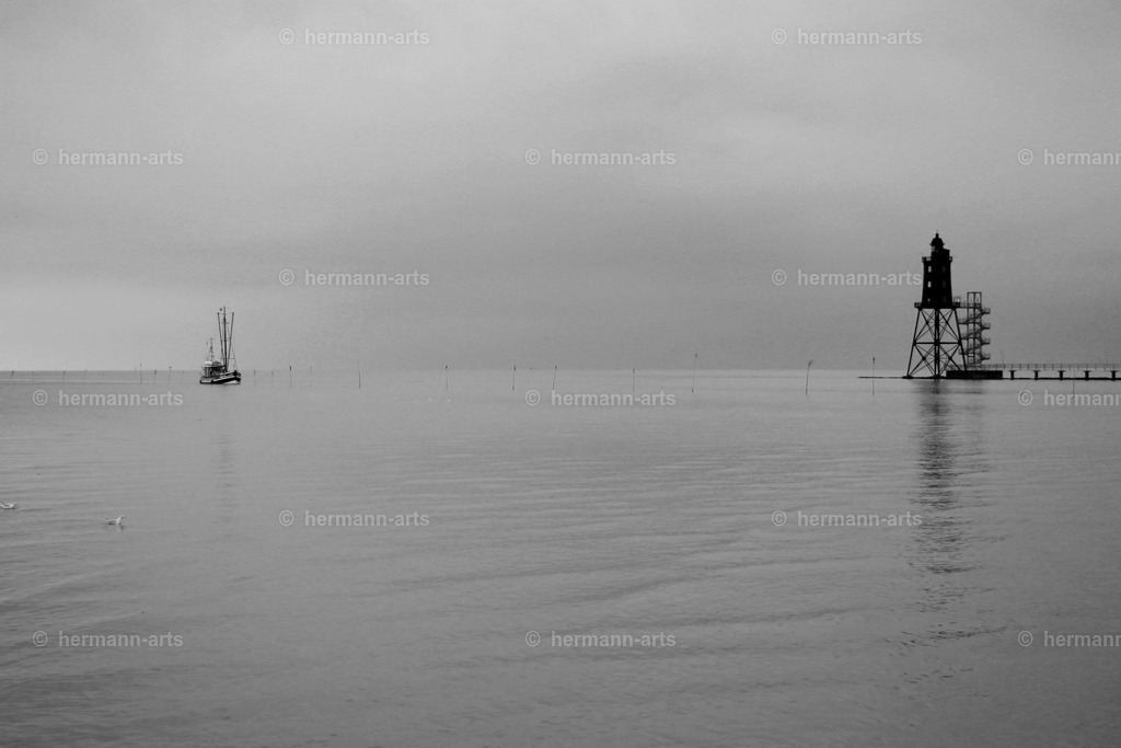 Hermann-Arts_Seaside_038 | Photo Foto Kunst Art schwarzweiss Bilder Rheine Münster Berlin Blumen 