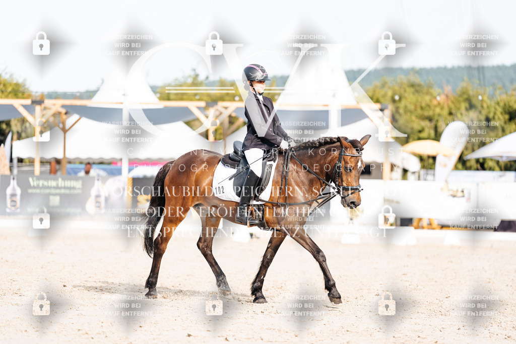 CK904781 | Turnierfotografie Pferdefotografie Trier Rheinland-Pfalz Pferdesport Reitsport Tierfotografie Sportfotografie Pferdevideo Pferdevideografie Equestrianvideography equestrianphotography  - Realisiert mit Pictrs.com