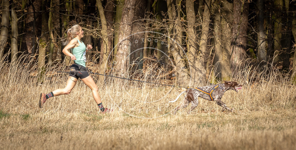 DV3A5684 | Hundefotografie, Tierfotograf, Pfotenfotografie, Fotoshooting Hund, Hunde Portrait, Hundesport, Hundeportraits, Heideshooting, Hunde, Sportfotograf, Hundefotograf, Turnierhundsport, THS,  - Realisiert mit Pictrs.com