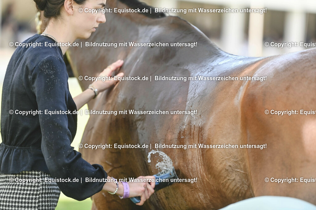20230527_27_CCI4_Gelände_0291 | equistock