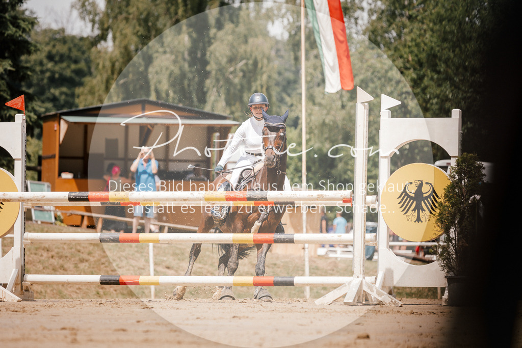 3I6A7931 | Stimmungsvolle Portraits und Reitsportfotografie im Ruhrgebiet und im Münsterland.

Pferdefotografie, Hundefotografie, Tierfotografie, Reportagen, Portraits von Tier und Mensch, Turnierfotografie in Bochum, Recklinghausen, Marl, Haltern am See, Dülmen.. - Realisiert mit Pictrs.com
