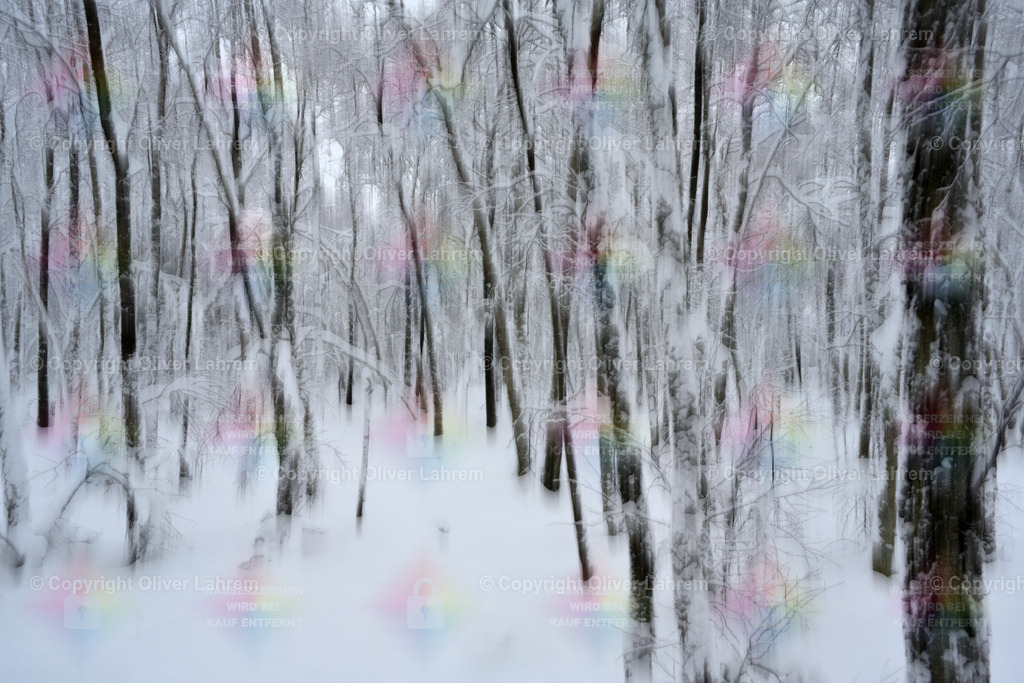 Winterliche Waldimpression 10 | Eine Impressionistische Fotografie eines winterlichen Waldes. Dabei handelt es sich keineswegs um ein Schwarz-Weiß Bild, sondern um eine natürliche Farbaufnahme. Das Bild wurde durch eine Fotografische Aufnahmetechnik realisiert und nicht per Photoshop oder K I .