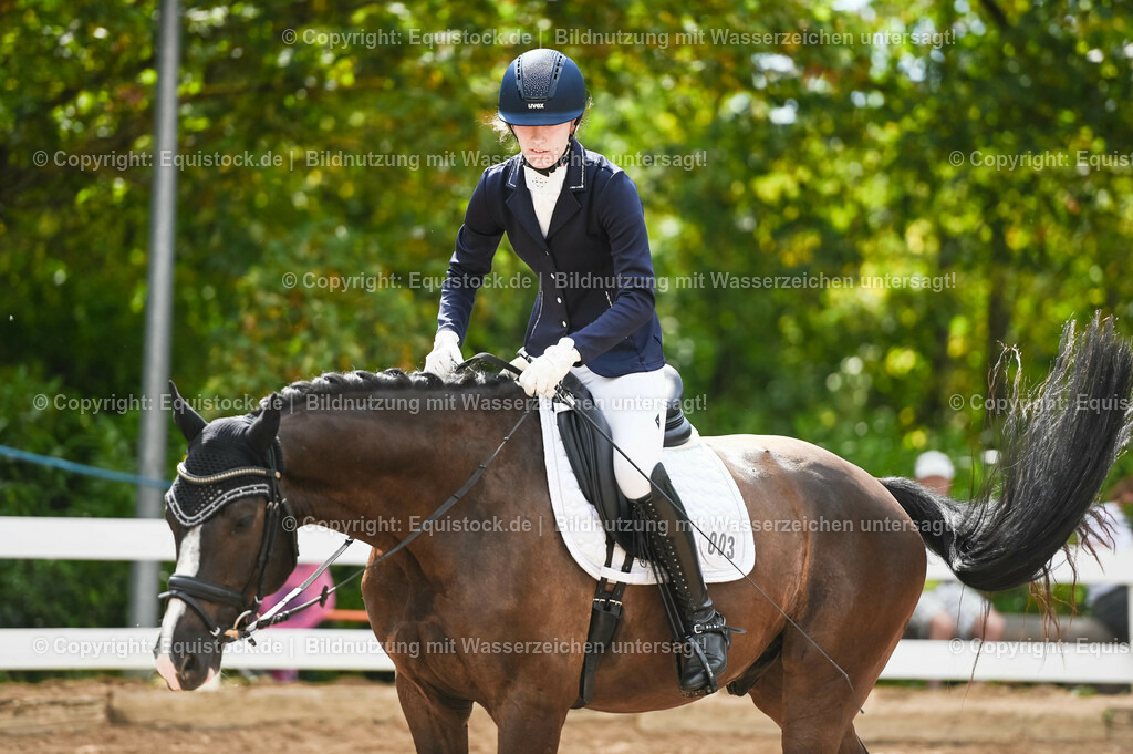 20230715_07_Dressurpferdeprfg. Kl.L_0014 | equistock