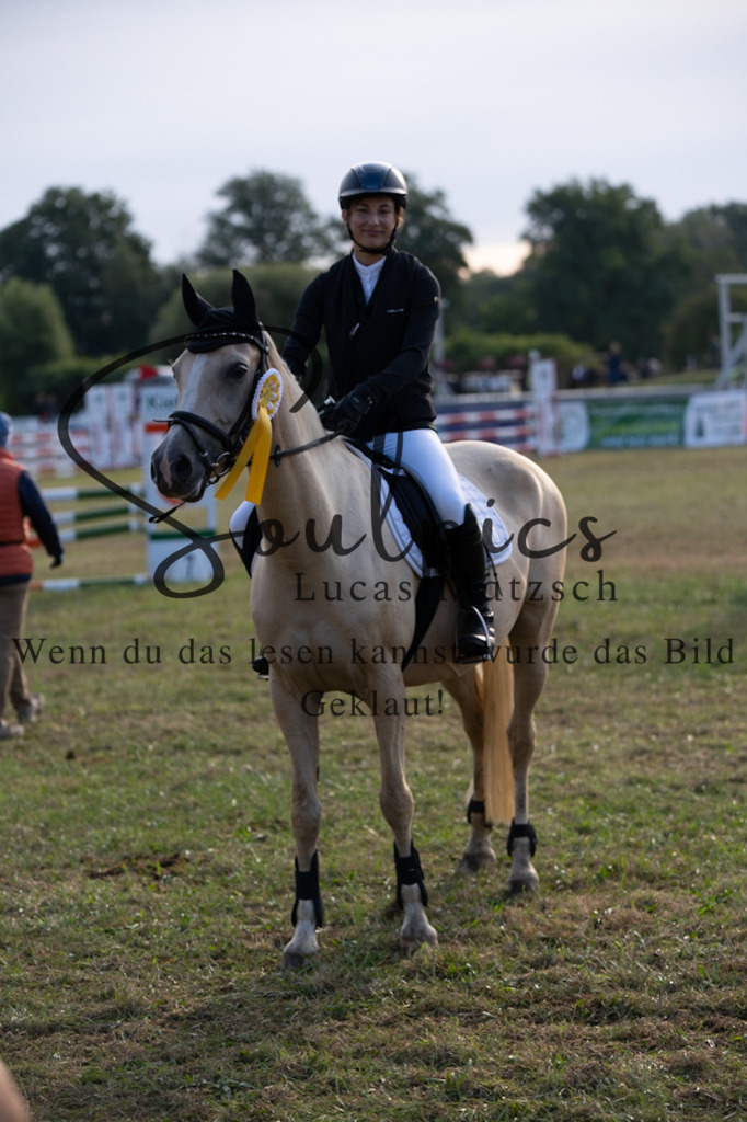 A7V08008 | Turnier/Reitfotograf