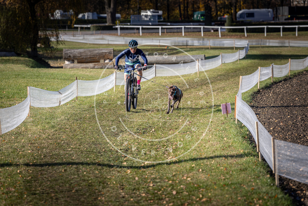 CaniXpix_DV3A4150 | Hundefotografie, Tierfotograf, Pfotenfotografie, Fotoshooting Hund, Hunde Portrait, Hundesport, Hundeportraits, Heideshooting, Hunde, Sportfotograf, Hundefotograf, Turnierhundsport, THS,  - Realisiert mit Pictrs.com