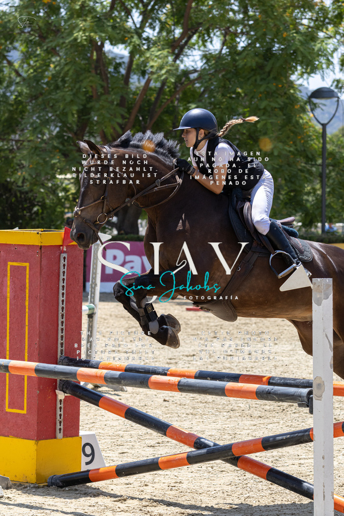 IMG_1265 | s-jay-photography - Realisiert mit Pictrs.com