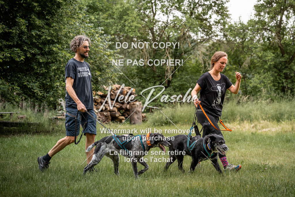 nelerasche_So-funtrail_198 | nelerasche