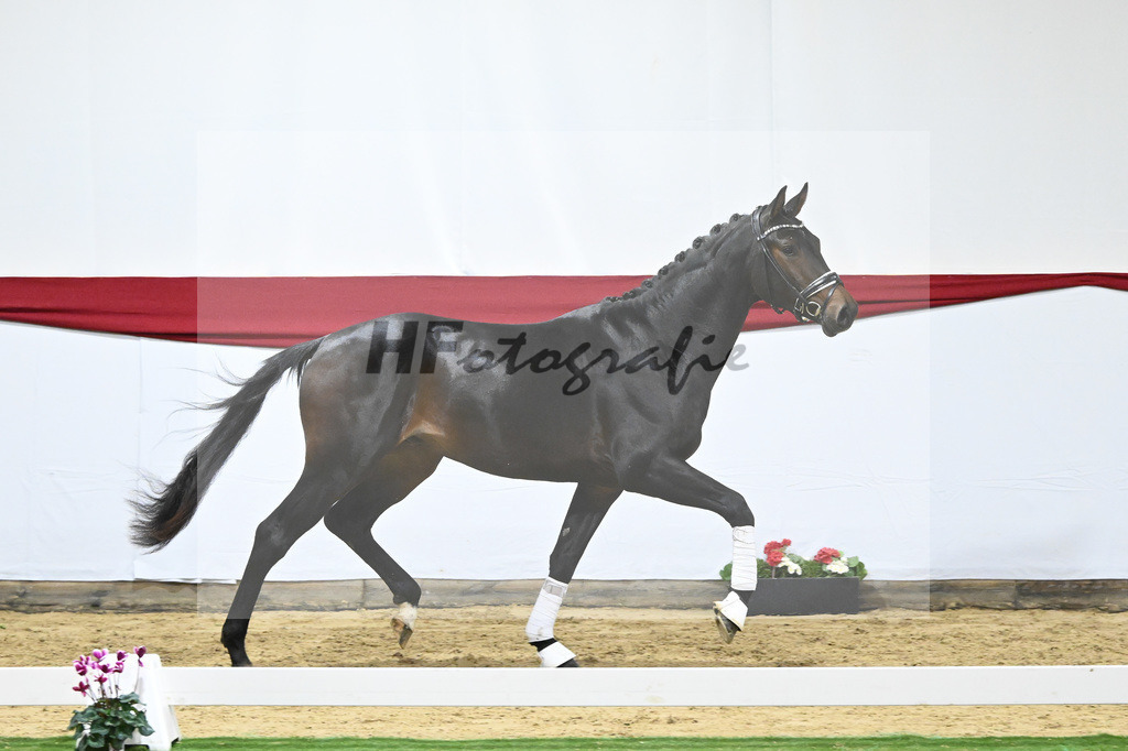 Kat-Nr. 53 v. Marc Cain_van der Raadt_63221493 | hf-fotografie - Realizzato con Pictrs.com
