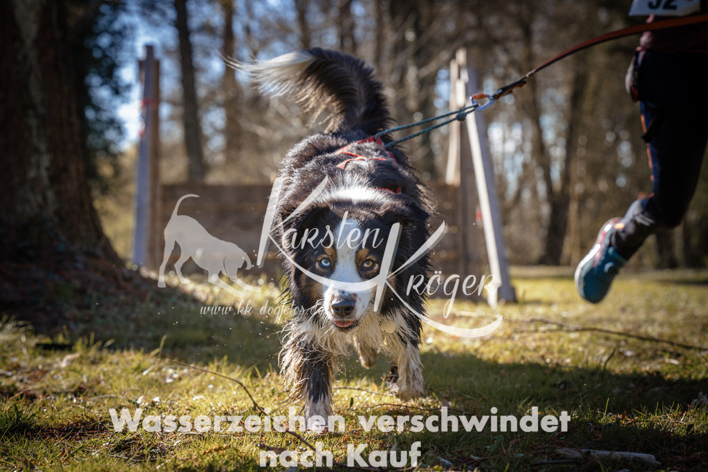 0938_ZZ96458 | kk-dogfotos