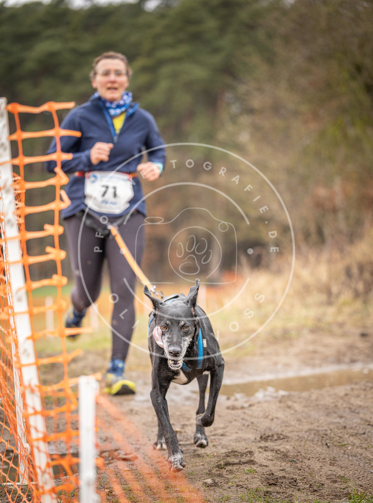 DV3A0233 | Hundefotografie, Tierfotograf, Pfotenfotografie, Fotoshooting Hund, Hunde Portrait, Hundesport, Hundeportraits, Heideshooting, Hunde, Sportfotograf, Hundefotograf, Turnierhundsport, THS,  - Realisiert mit Pictrs.com