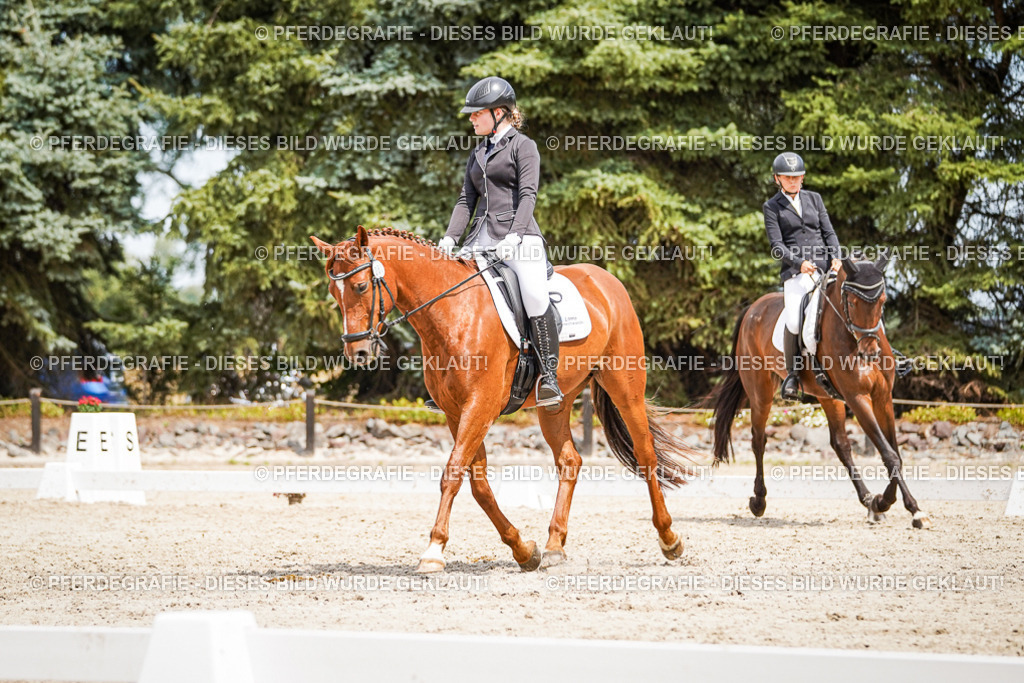 DSC03631 | Pferdegrafie