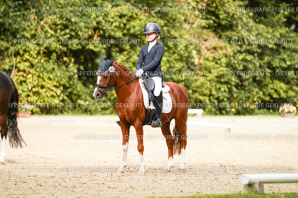 DSC03666 | Pferdegrafie