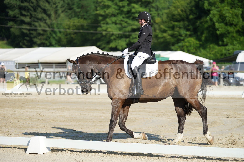 DSC04151 | equestrian-live-com