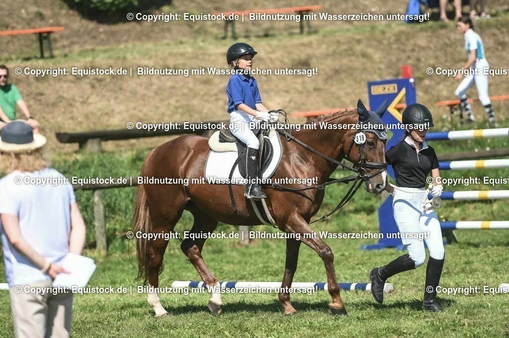 20230910_11-2_Führzügel-WB_0037 | Foto: Thomas Hartig