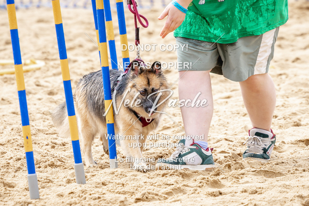 nelerasche_BuHu2026_So1430-1530_218 | nelerasche