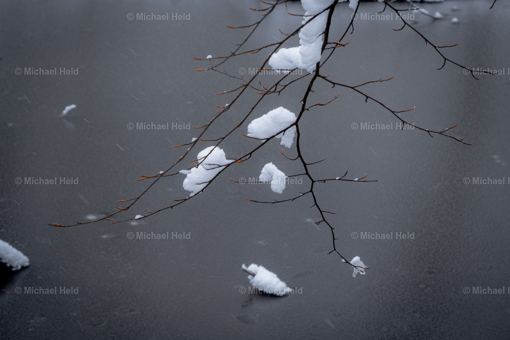 Winter im Wald | Profi-Fotos über Schleswig-Holstein und dem ganzen Norden für Büro, Hotel, Ferienhaus, Ferienwohnung, Wohnzimmer, Arztpraxis uvm. jetzt bestellen. - Realisiert mit Pictrs.com