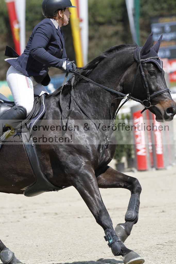 _MG_7374 | equestrian-live-com