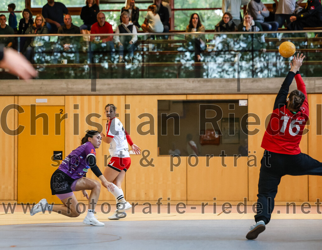 2024-10-13_064_SpVgg_Altenerding_gegen_SC_Freising | Erding, Deutschland, 13.10.2024:Handball, Bezirksoberliga Frauen Altbayern 2024 / 2024, 3. Spieltag, SpVgg Altenerding gegen SC Freising, Endergebnis: 26:35Michelle Gruber (SpVgg Altenerding, #7), Hanna Knecht (HSG Freising-Neufahrn, #16)Foto: Christian Riedel / fotografie-riedel.net