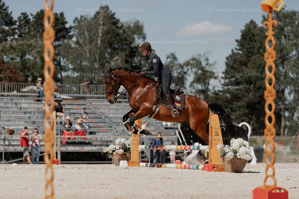 WE_ST_Stoib_340_PI2025_1386 | 330Pferd International München 2025