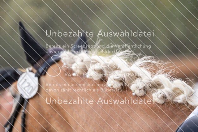 LR261_SD_07073 | saradresslerfotografie - Realisiert mit Pictrs.com