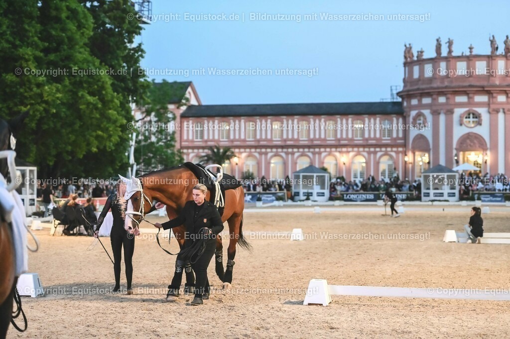 20230527_Voltigieren_NASPA_Flutlicht_0472 | equistock