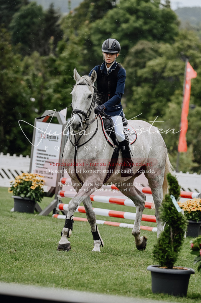DSC_7066 | Pferde- und Turnierfotografie in Westsachsen. Pferdeportraits, Auftragszeichnungen und intuitive Kunst.