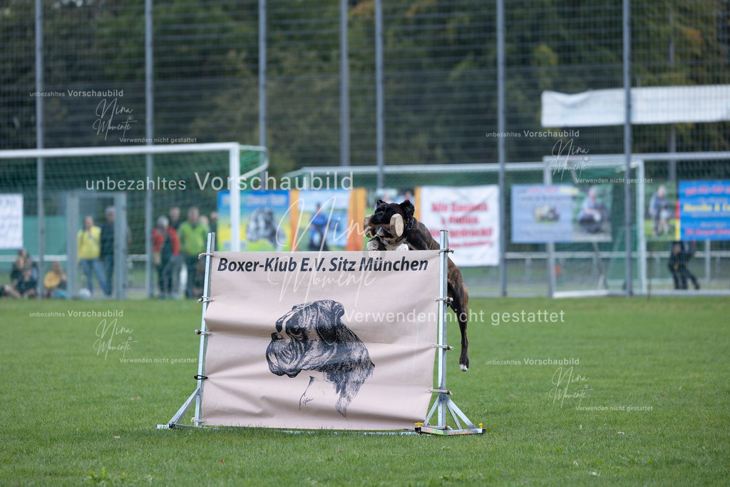 _16A5692 | Einzigartige Fotos von Hunden & Menschen –Actionfotos, Portraits, Vereinsaufnahmen & Paarshootings – authentisch, lebendig & mit Herz.