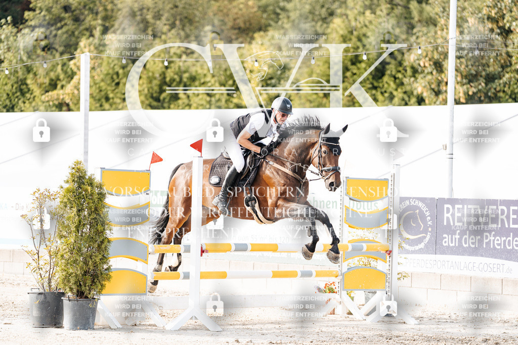 CK906521 | Turnierfotografie Pferdefotografie Trier Rheinland-Pfalz Pferdesport Reitsport Tierfotografie Sportfotografie Pferdevideo Pferdevideografie Equestrianvideography equestrianphotography  - Realisiert mit Pictrs.com