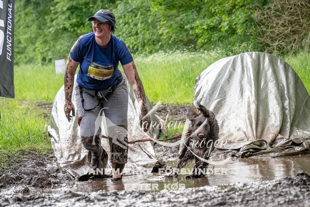 1508_ZZ91966-Bearbeitet | kk-dogfotos