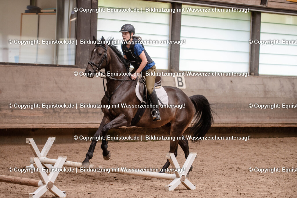 20250725_Vielseitigkeitslehrgang-Marbach_0026 | Foto: Thomas Hartig