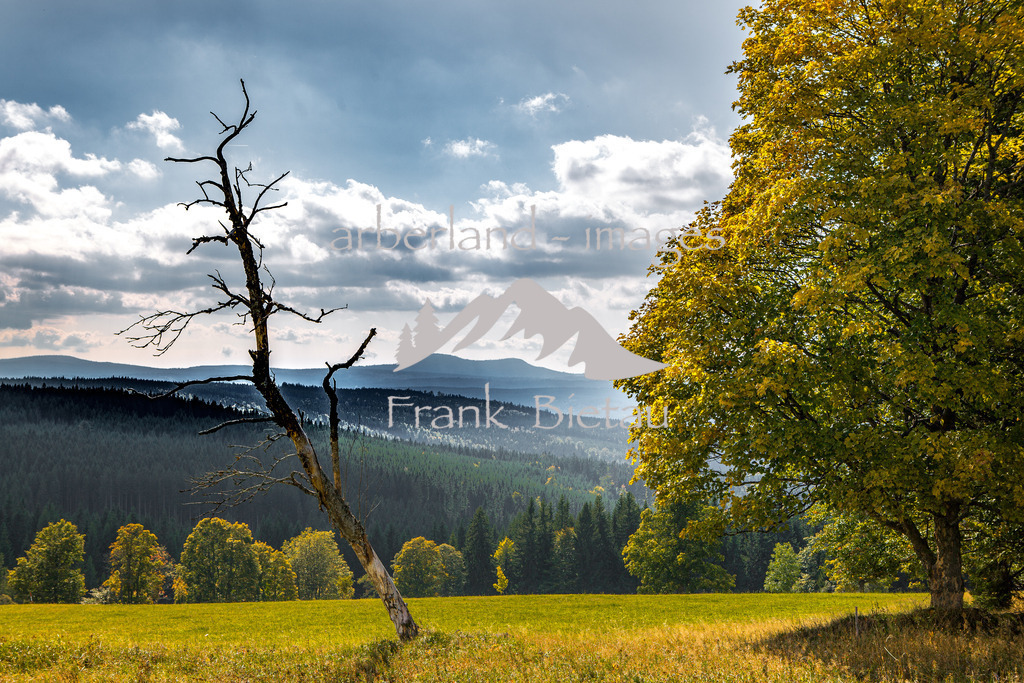 _Z5A1498 | Blick über den Bayerischen Wald hinüber zum Rachel